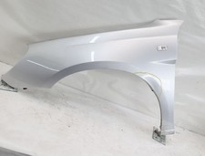 Kotflügel vorn links gebraucht kaufen  Wittenburg