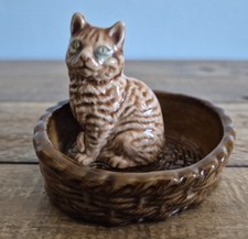 Wade brown cat for sale  TROWBRIDGE