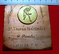 Placca trofeo nazionale usato  Filottrano