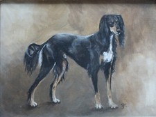 Saluki original oil for sale  LISKEARD