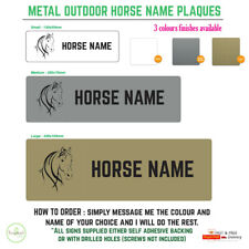 Outdoor personalised horse for sale  THORNTON-CLEVELEYS