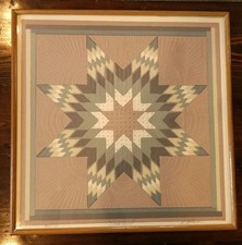 Roberta adkins natve for sale  Owosso