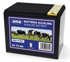 Pila alkalina 175ah usato  Italia