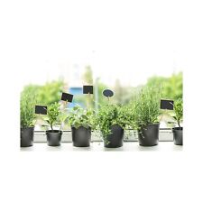 Potted mixed herb for sale  WICKFORD