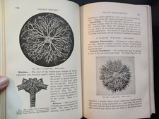 College zoology. robert for sale  Ashland