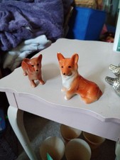 Cute pembroke welsh for sale Cute pembroke welsh for sale  BIGGLESWADE