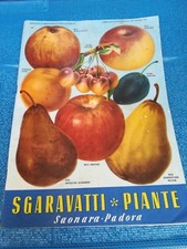 Catalogo generale 1950 usato  Pinerolo