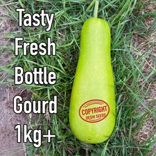Fresh whole bottle for sale  HULL