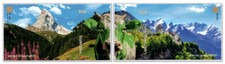 SCHWEIZ - LIECHTENSTEIN 2025 KUH Block CHLI beider Länder in grün - MNH ** comprar usado  Enviando para Brazil
