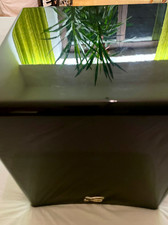 Cabasse subwoofer santorin gebraucht kaufen Cabasse subwoofer santorin gebraucht kaufen  Nürnberg