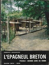 Marangoni epagneul breton usato  Sezzadio
