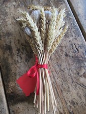 Dried flower posy for sale  HEREFORD