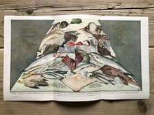 Original mid century for sale Original mid century for sale  UK