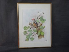 Hübsches aquarell buntspecht gebraucht kaufen  München