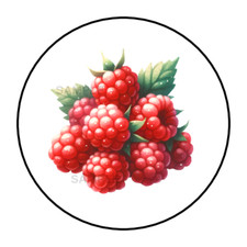 Raspberries fruit garden for sale  Rock Springs