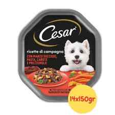 Umido cesar per usato  Marano di Napoli