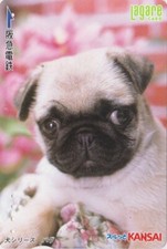 Japan card animal d'occasion  Expédié en Belgium