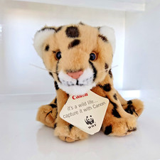 Small leopard cheetah for sale  BRIXHAM