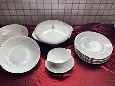Speiseservice tlg ... gebraucht kaufen  Tettnang