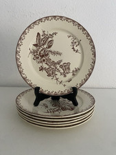 Assiettes plates pexonne d'occasion  Toulouse-
