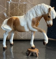 Horse performing misty for sale  Davison
