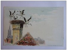 Cpa illustrée haas usato Cpa illustrée haas usato  Spedire a Italy