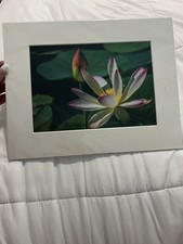 Framed water lily for sale  Cape Coral