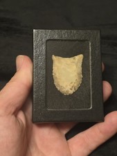 Authentic arrowhead clovis for sale  Saltville