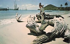 Caribbean bathing beauty for sale  Palm Bay