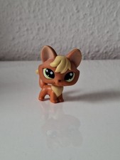 Littlest pet shop gebraucht kaufen Littlest pet shop gebraucht kaufen  Mühlhausen/Thüringen