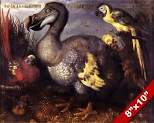 Magnificent extinct dodo for sale  South Jordan