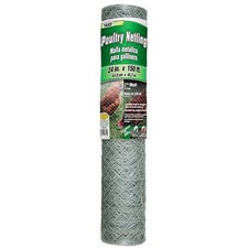 Chicken wire inch for sale  Brentwood