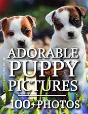 Puppy picture book for sale  Lynden