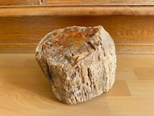 Versteinertes holz baumstamm gebraucht kaufen  Hamburg