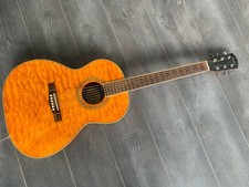 Fender gdo 300 for sale  UK