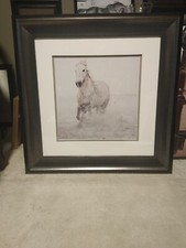 Gorgeous matted framed for sale  Sugar Grove