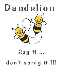 Save bees jpeg for sale  Middletown