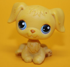 littlest pet shop comprar usado littlest pet shop comprar usado Enviando para Brazil