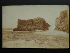 Cornwall portreath horse for sale  UK