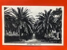 02034 Cartolina San Remo (IM) Viale di Palme comprar usado 02034 Cartolina San Remo (IM) Viale di Palme comprar usado  Enviando para Brazil