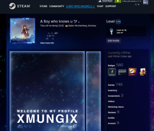 Steam rigin epic gebraucht kaufen  Weinstadt