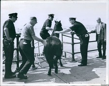1970 photo boston for sale  Germantown