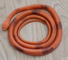 Four foot orange for sale  Belleview