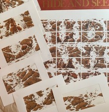 Hide seek composite for sale  Mesquite