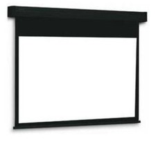 Projecta cinelpro wide gebraucht kaufen  Gieboldehausen