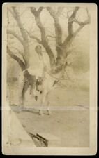 Boudoir photo comanche for sale  Fisherville