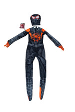 Bitowo spider kostüm gebraucht kaufen  Wölfersheim
