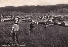 Asiago fienagione 1957 usato  Roma