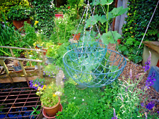 Four hanging baskets. for sale  DISS