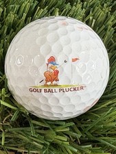 plucker for sale plucker for sale Fort Myers